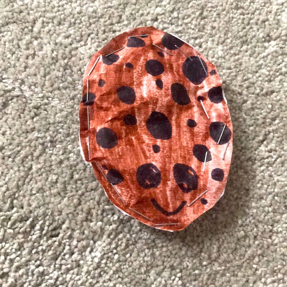 Paper squishy